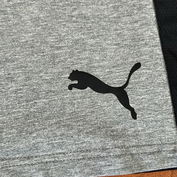 Puma Men’s athletic shorts with pockets gray/ black elastic inner band Large - Picture 4 of 16